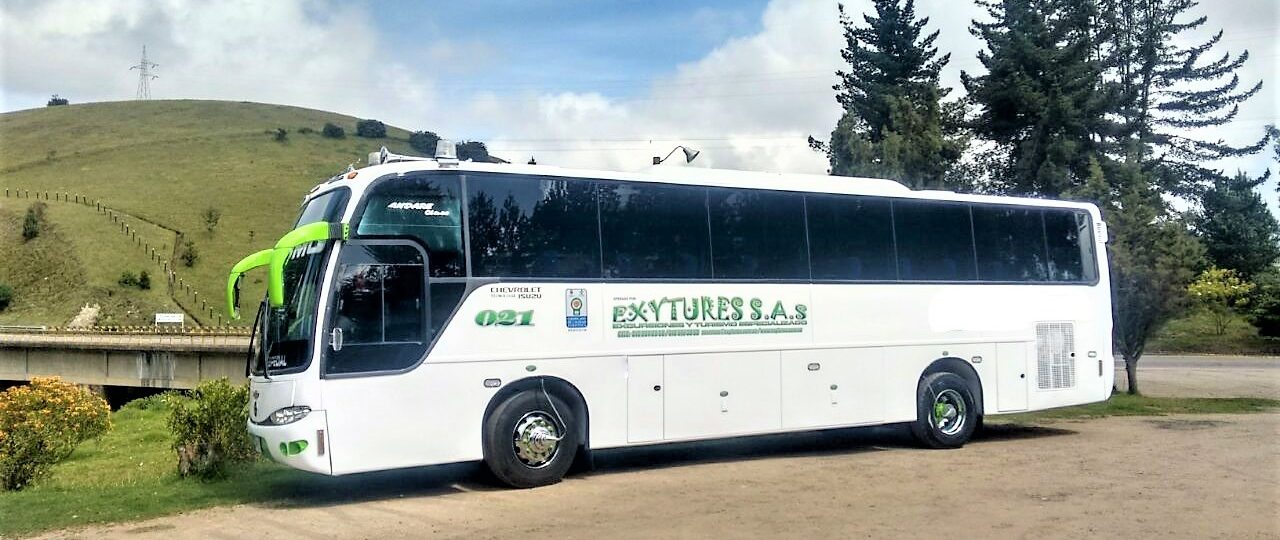 Bus transporte especial