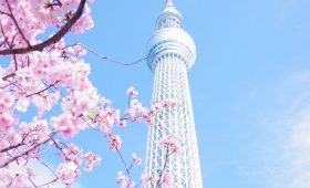 lugares imperdibles en Tokio